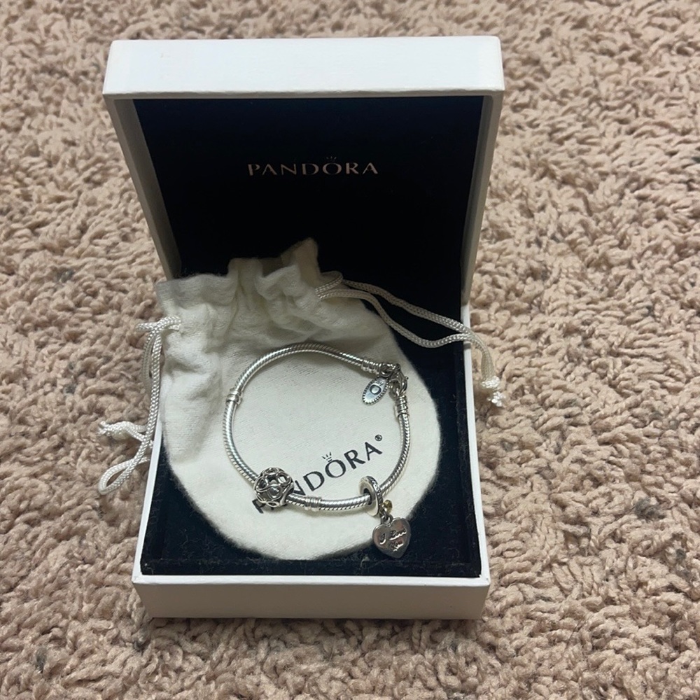 Pandora Bracelet & Charm